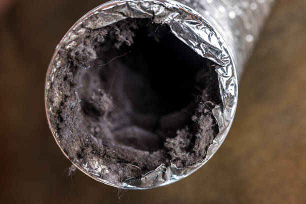 Best Air Duct Mold Removal  in Rosenhayn, NJ