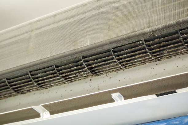 Best Affordable Duct Cleaning Services  in Rosenhayn, NJ