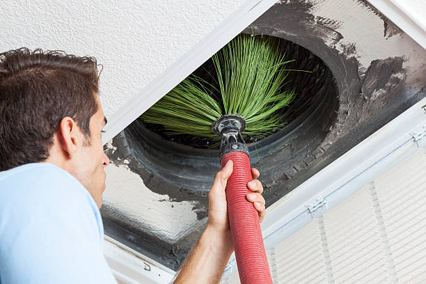 Best Home Air Vent Cleaning  in Rosenhayn, NJ