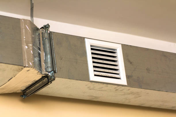 Best HVAC Duct Inspection Services  in Rosenhayn, NJ